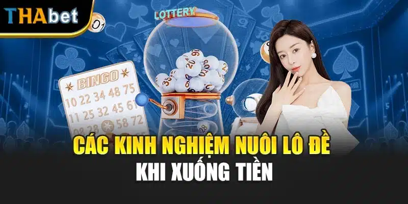 Các kinh nghiệm nuôi lô đề khi xuống tiền