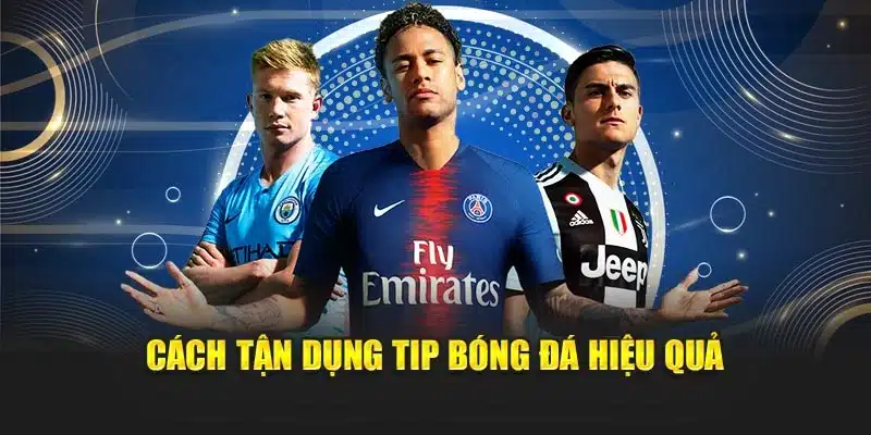 Cách tận dụng tip bóng đá hiệu quả