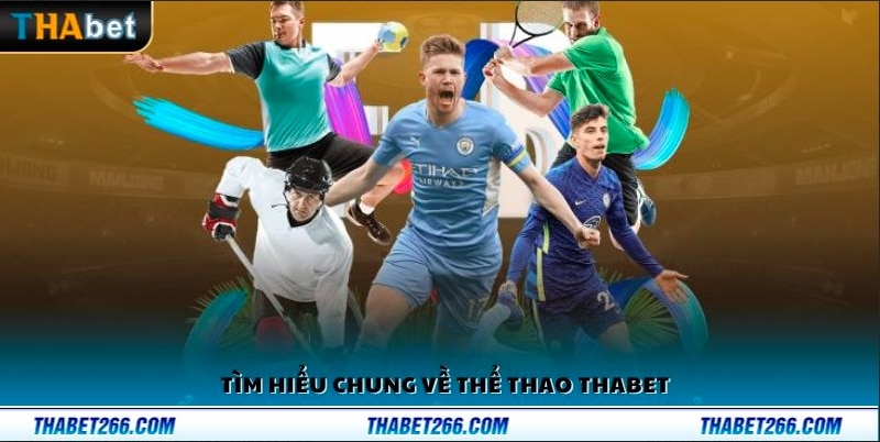 Vài nét sảnh thể thao Thabet 